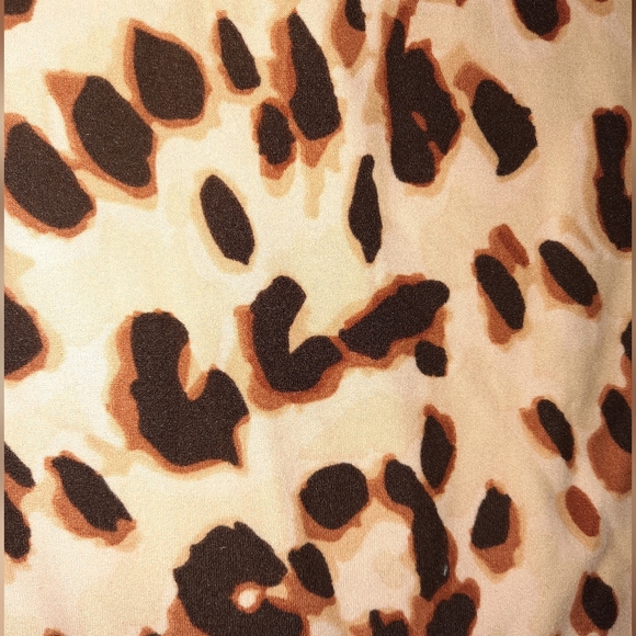 Lularoe T&C (Tall & Curvy) Leopard print leggings - Picture 3 of 4